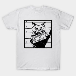 Bad Kitty T-Shirt